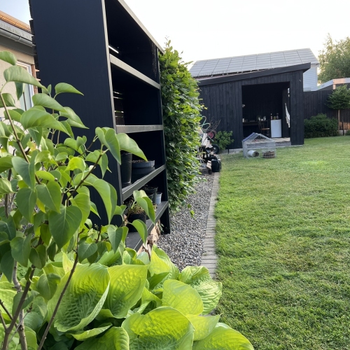 Sichtschutz /Trennwand RAWU Schwarz mit Hecke